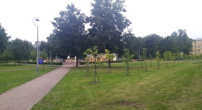 Пионерский парк. Фото "Невские новости" 