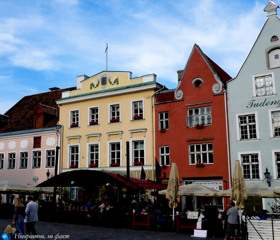 Невероятно, но факт, Таллин, городские легенды, легенды