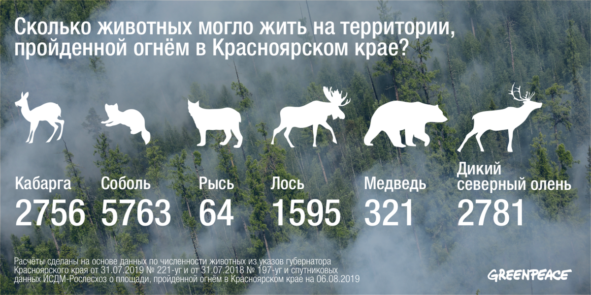 https://greenpeace.ru/blogs/2019/08/07/v-greenpeace-podschitali-skolko-zhivotnyh-moglo-postradat-ot-lesnyh-pozharov-v-sibiri/?fbclid=IwAR0mjVMlFrtMuMDuNqP4zyKHGCHI74B3nb_DHHBQ77nOUf_5I85U3Hh_4KA