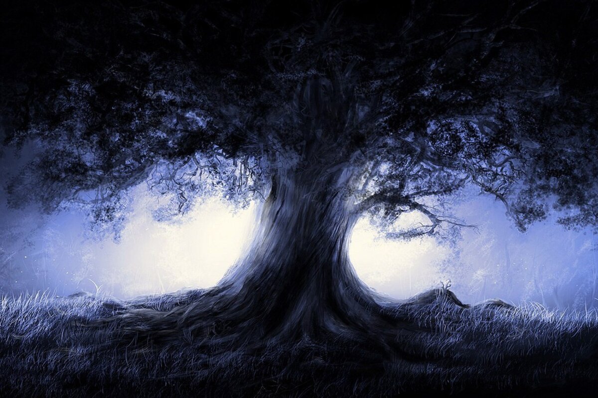 Картинка из интернета, в свободном доступе