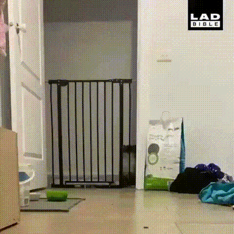 -4