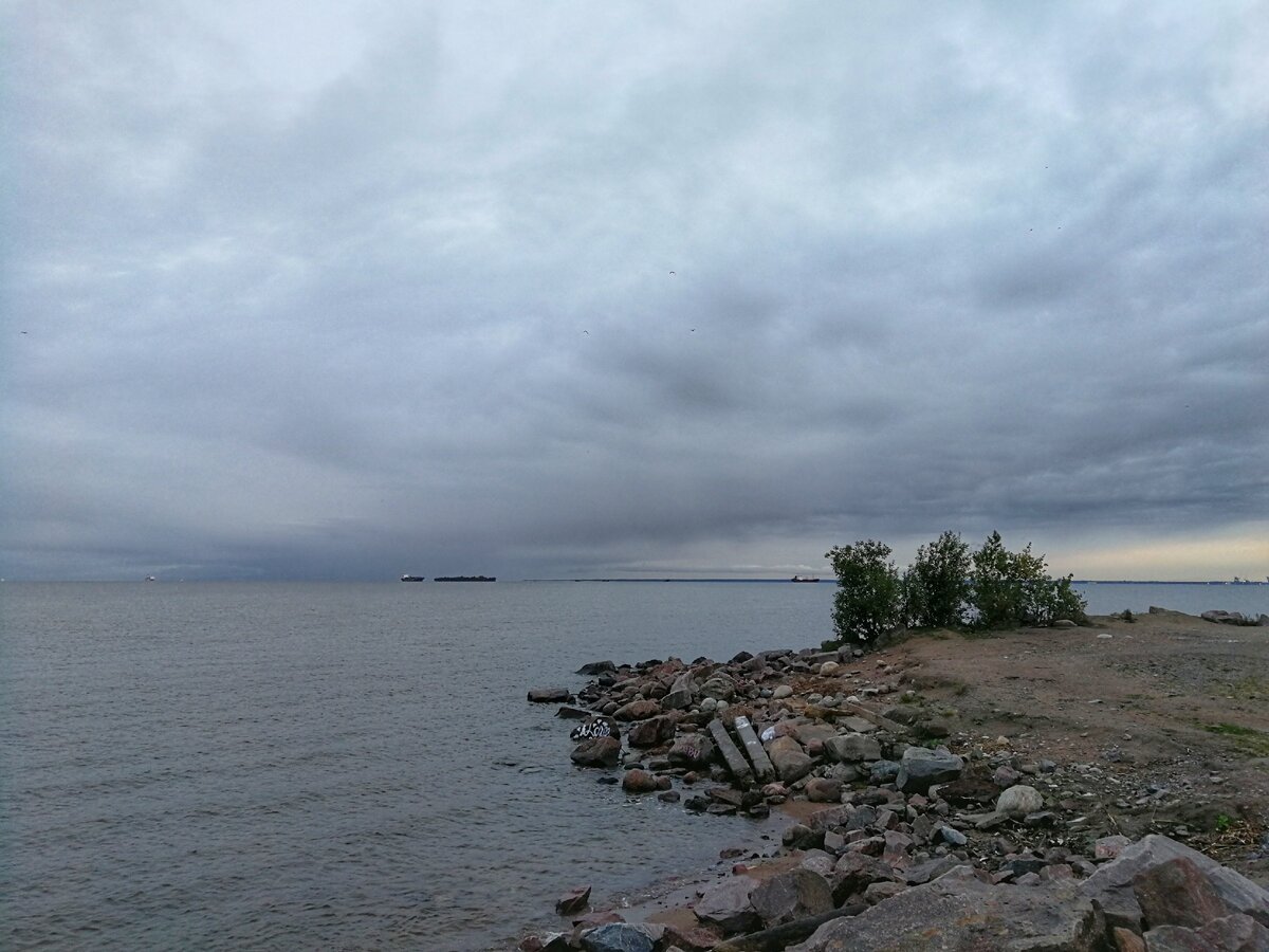 Финский залив