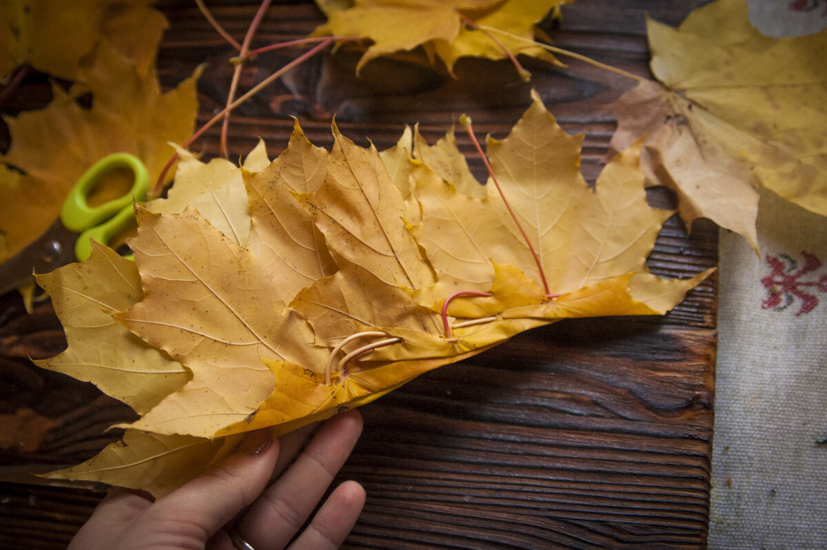 Скриншоты - Корона из листьев / Crown of Leaves, The