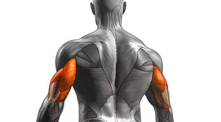 фото взято из интернета