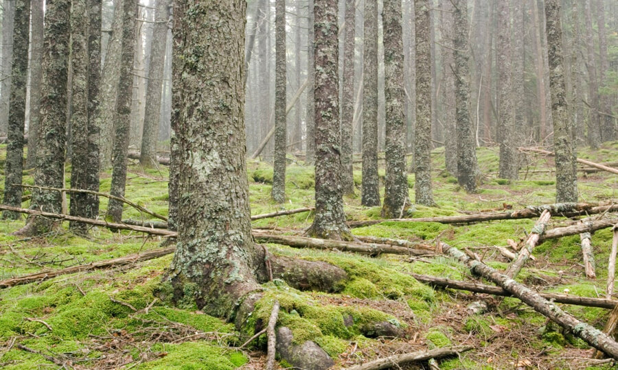 Фото: theguardian.com
