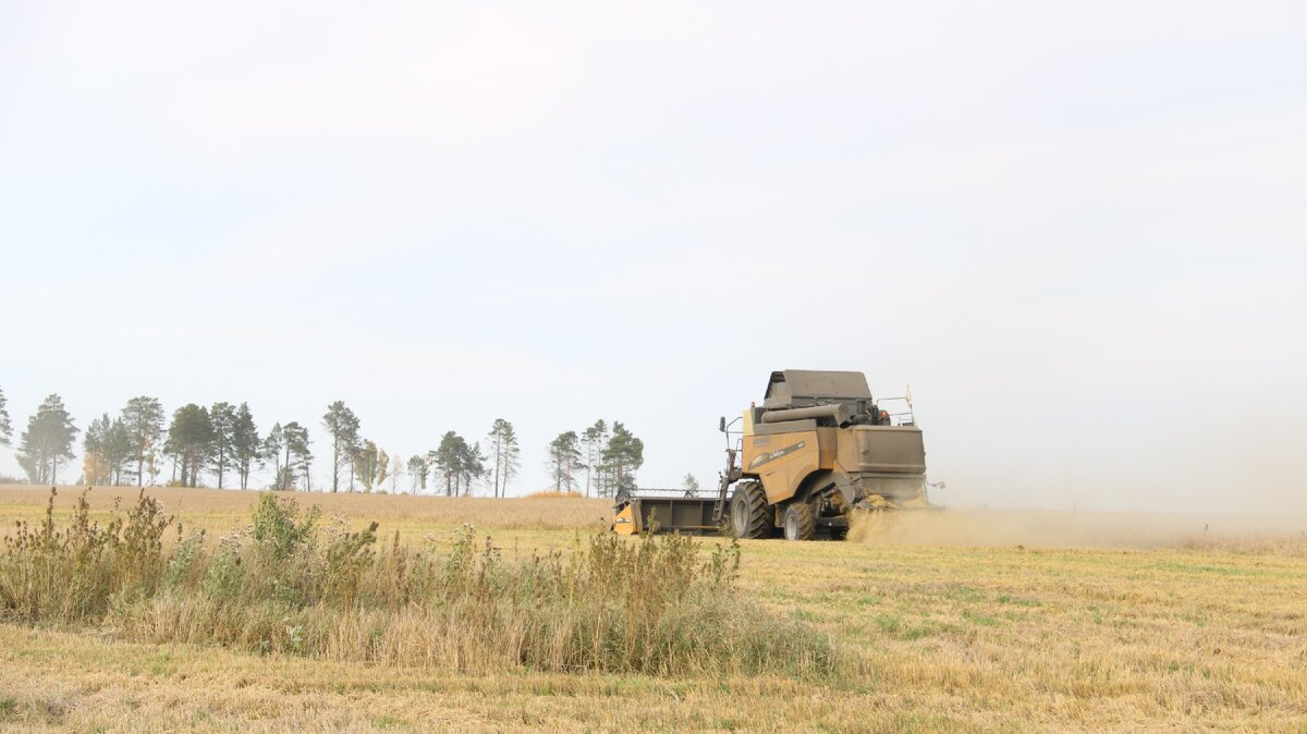 Уборочная 2019