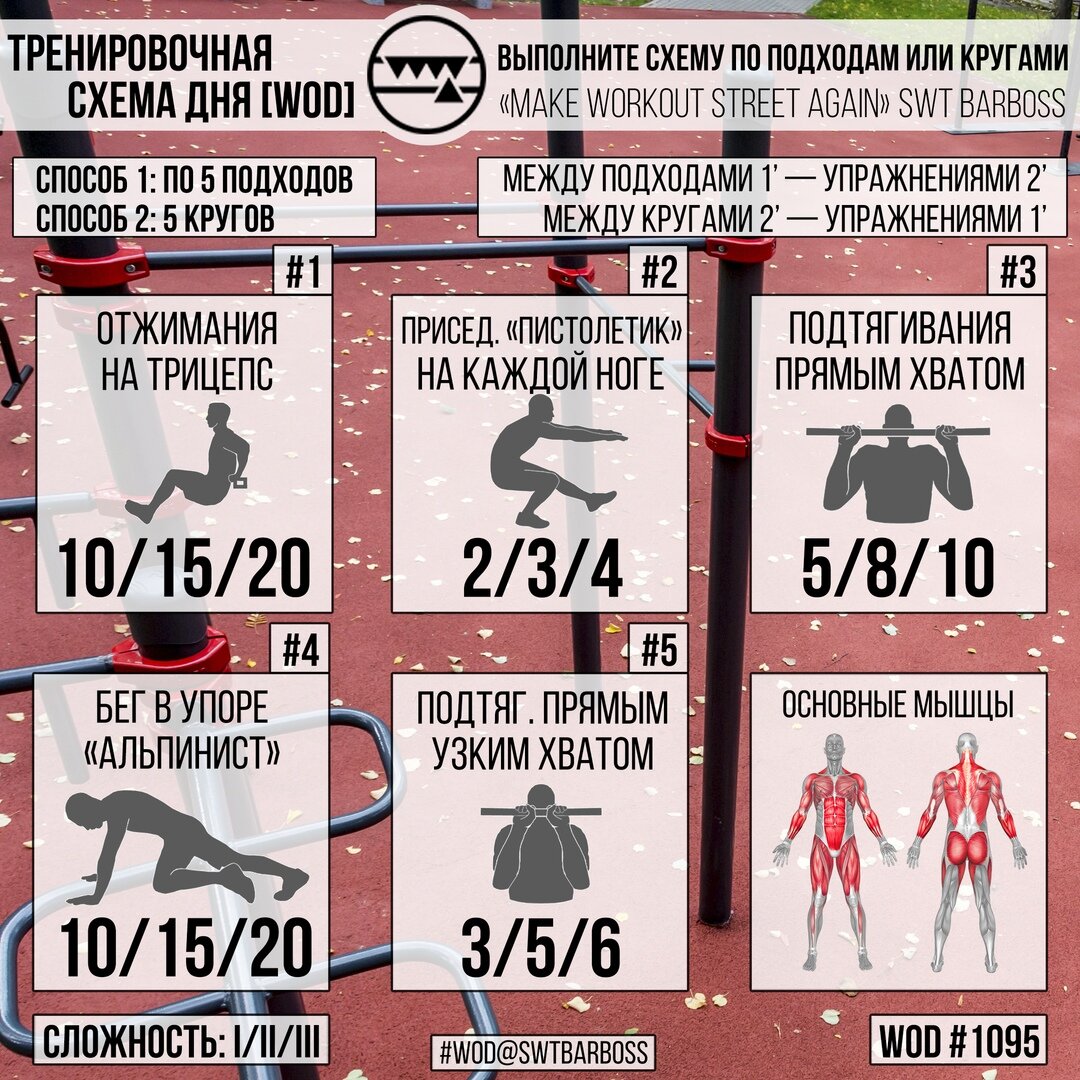 Выборы тренировка. Воркаут БАРБОСС. Схема тренировок Егора войтекнко.