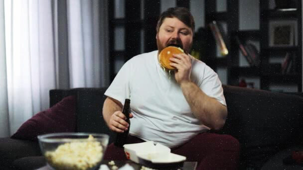 бургер,вес,диван