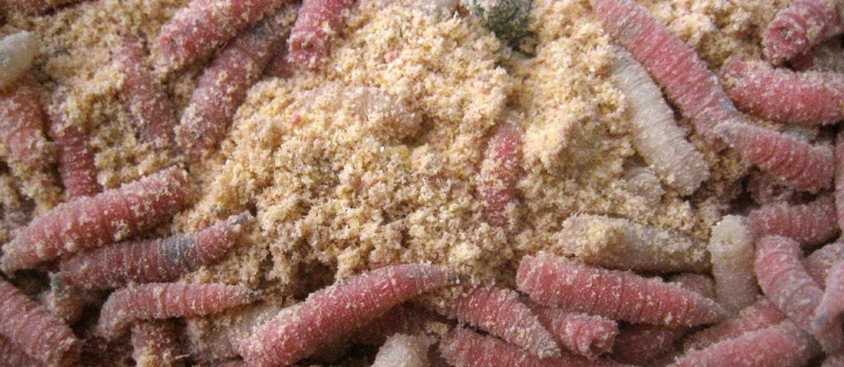 Те самые клещи