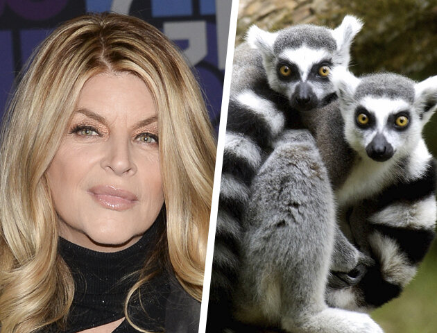 PA Photos / iStockphoto