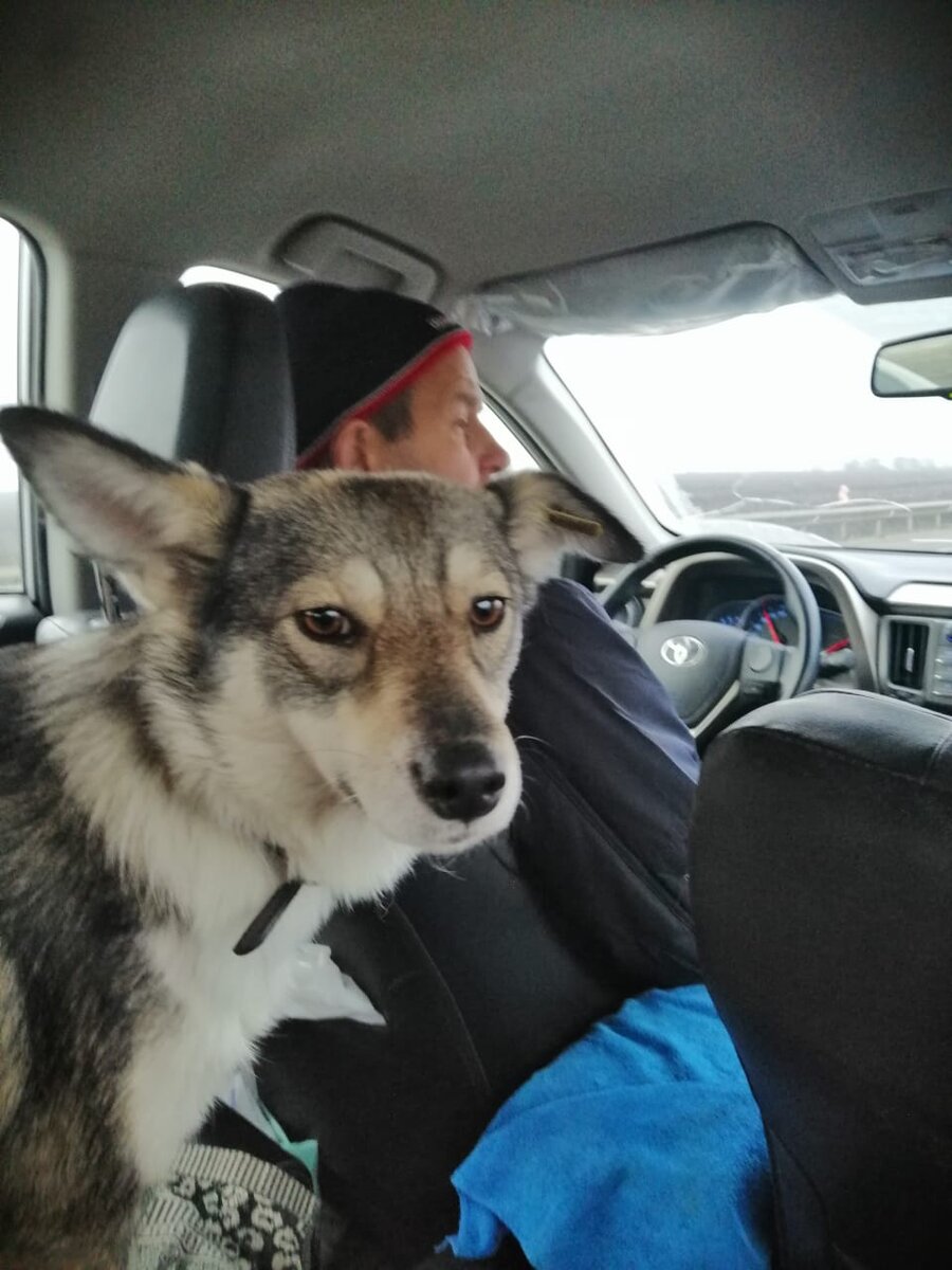 Дашенька едет в Тамбов