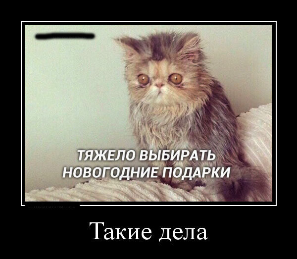 взято из открытых источников