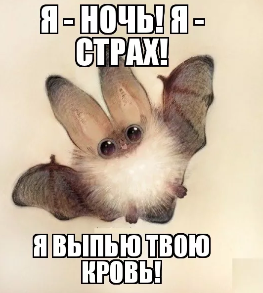 Яндекс картинки