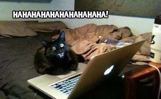 Ставь лайк, если тоже сидишь с акаунта хозяина!