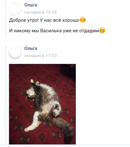 Василий дома