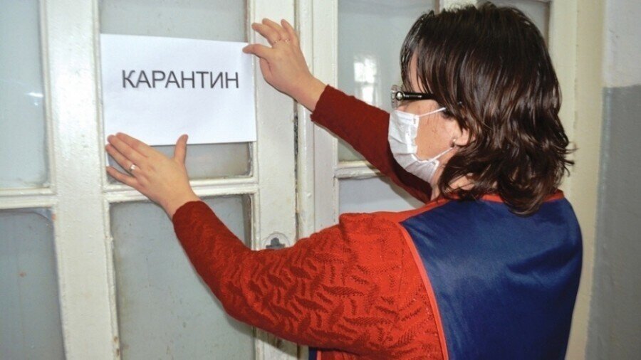 Фото: Яндекс.Картинки