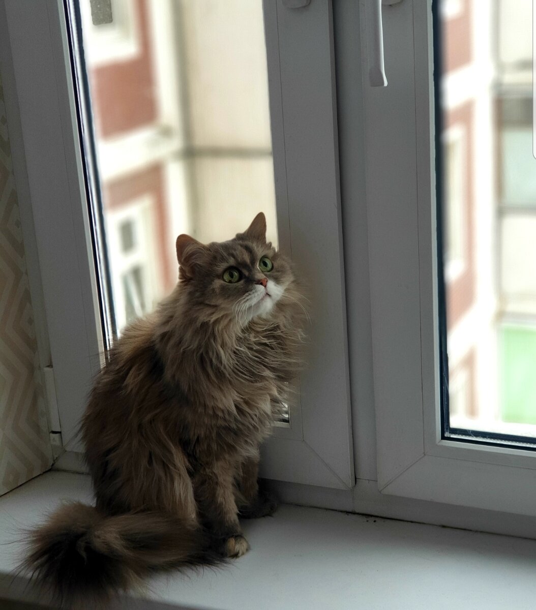 Ворулька