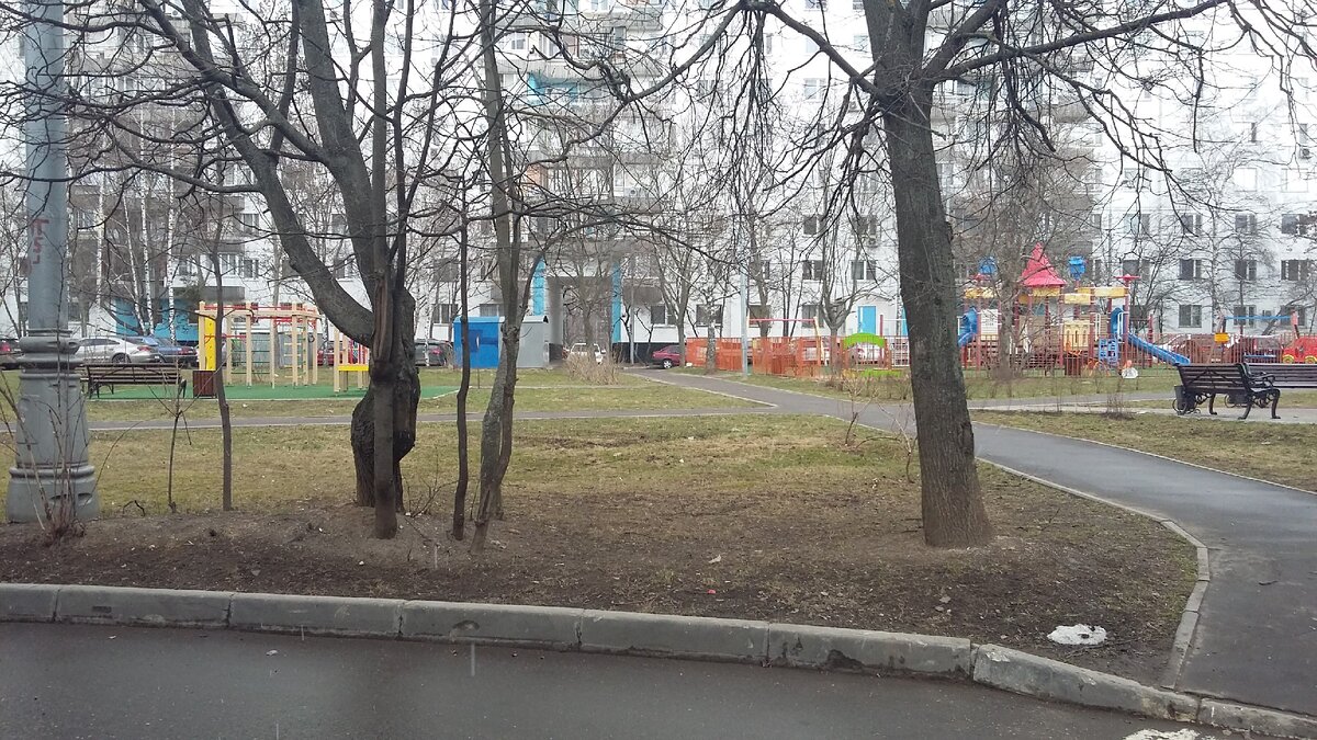 Фото автора.