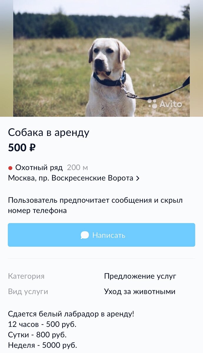 Фотография взята из открытых источников 