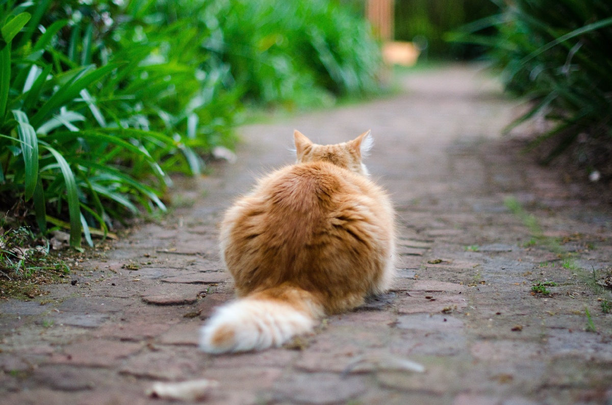 Photo by Marnhe du Plooy on Unsplash
