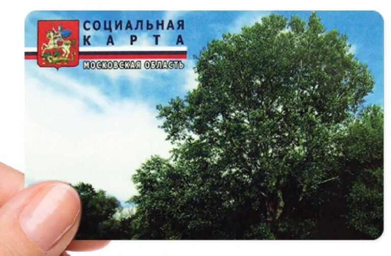 Фото взято из Яндекса.