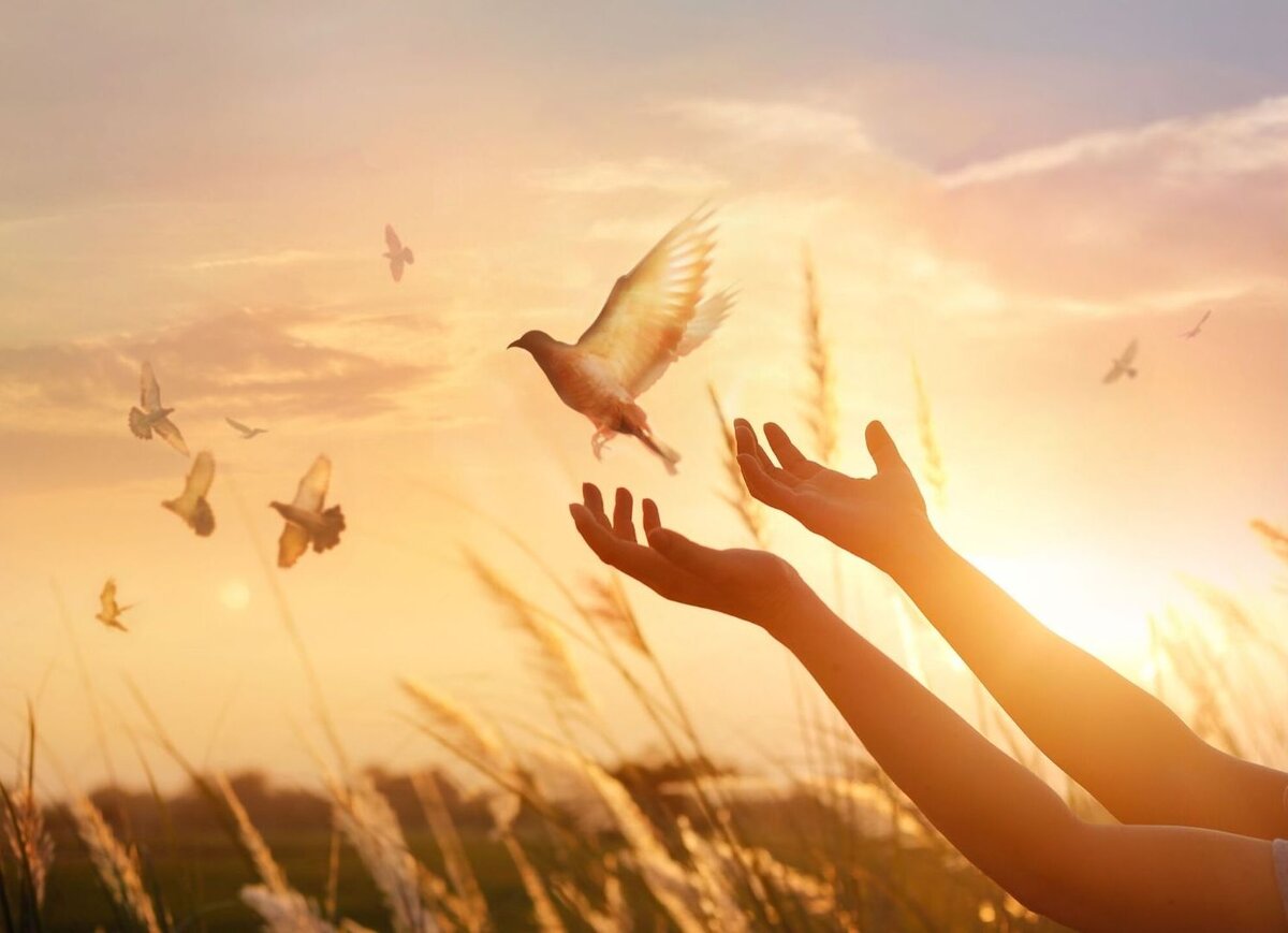 Фотобанк Canva