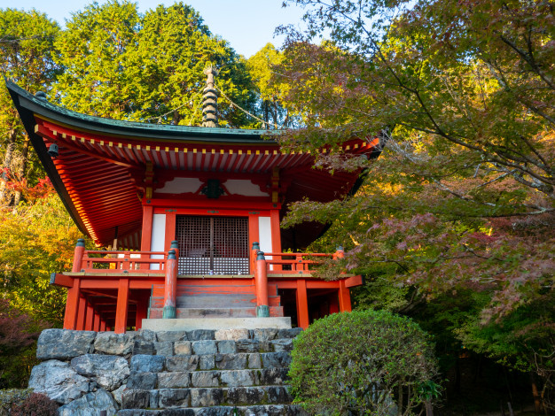 Фото взято на сайте: https://ru.freepik.com/premium-photo/japanese-autumn-fall-kyoto-daigoji-temple_6621164.htm