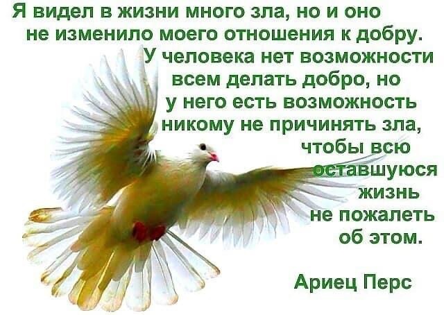 Мне с вами приятно! До встречи в новых выпусках публикаций!