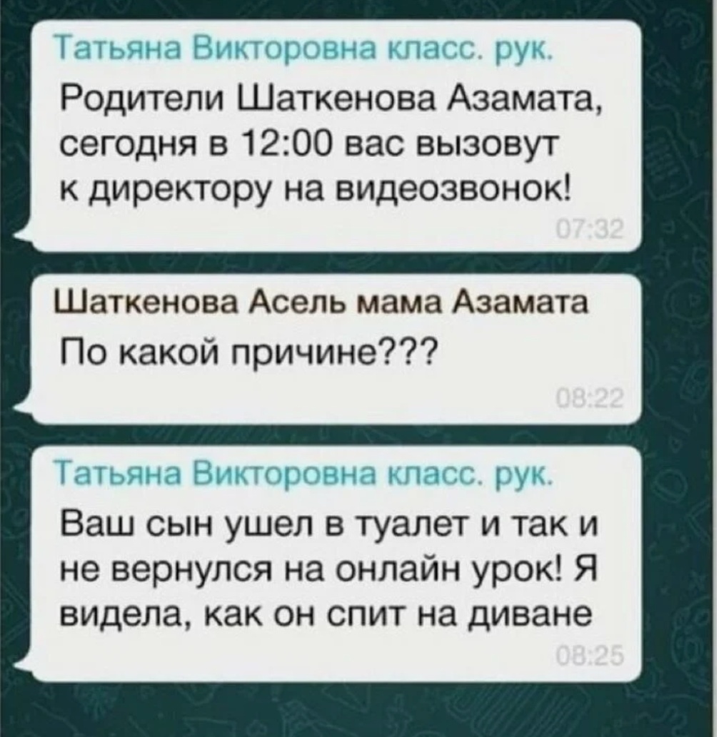 Смешные объявления в родительском чате во время дистанционного обучения  детей | Ирония судьбы | Дзен