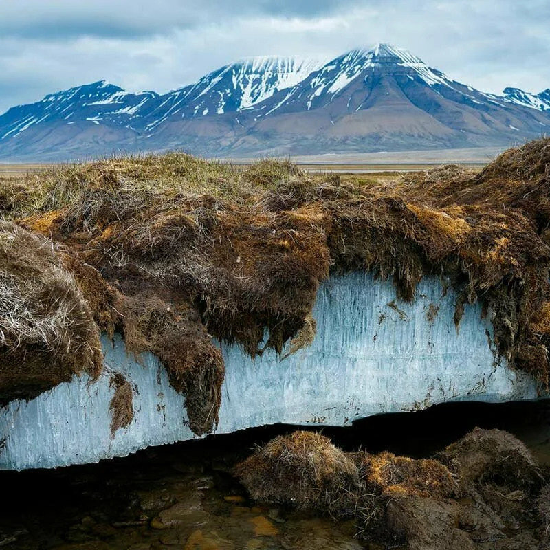 Как выглядит вечная мерзлота в разрезе фото