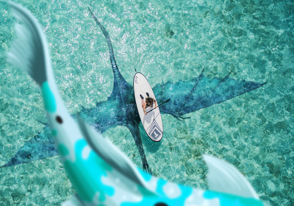 Art based on photo by Ishan @seefromthesky