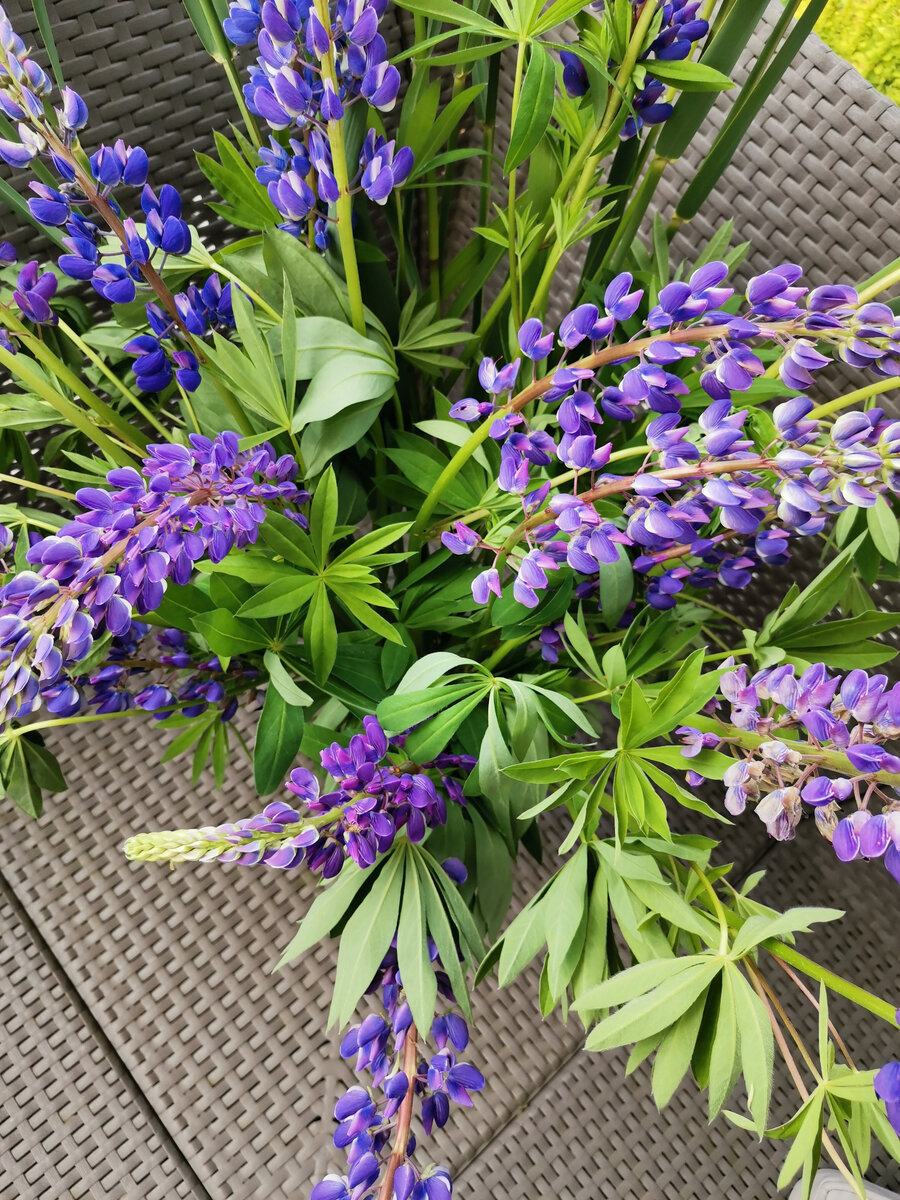 Вид сверху. Павильон, беседка, терраса ... Фото автора. "Живем на даче".