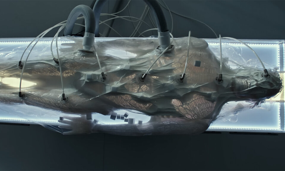  Процесс создания синтета (в данном случае Уолтера)