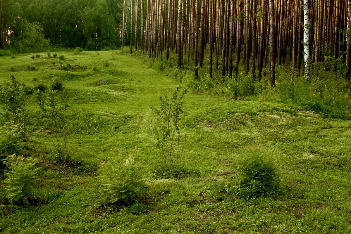 Эко-парк Гремячая Грива