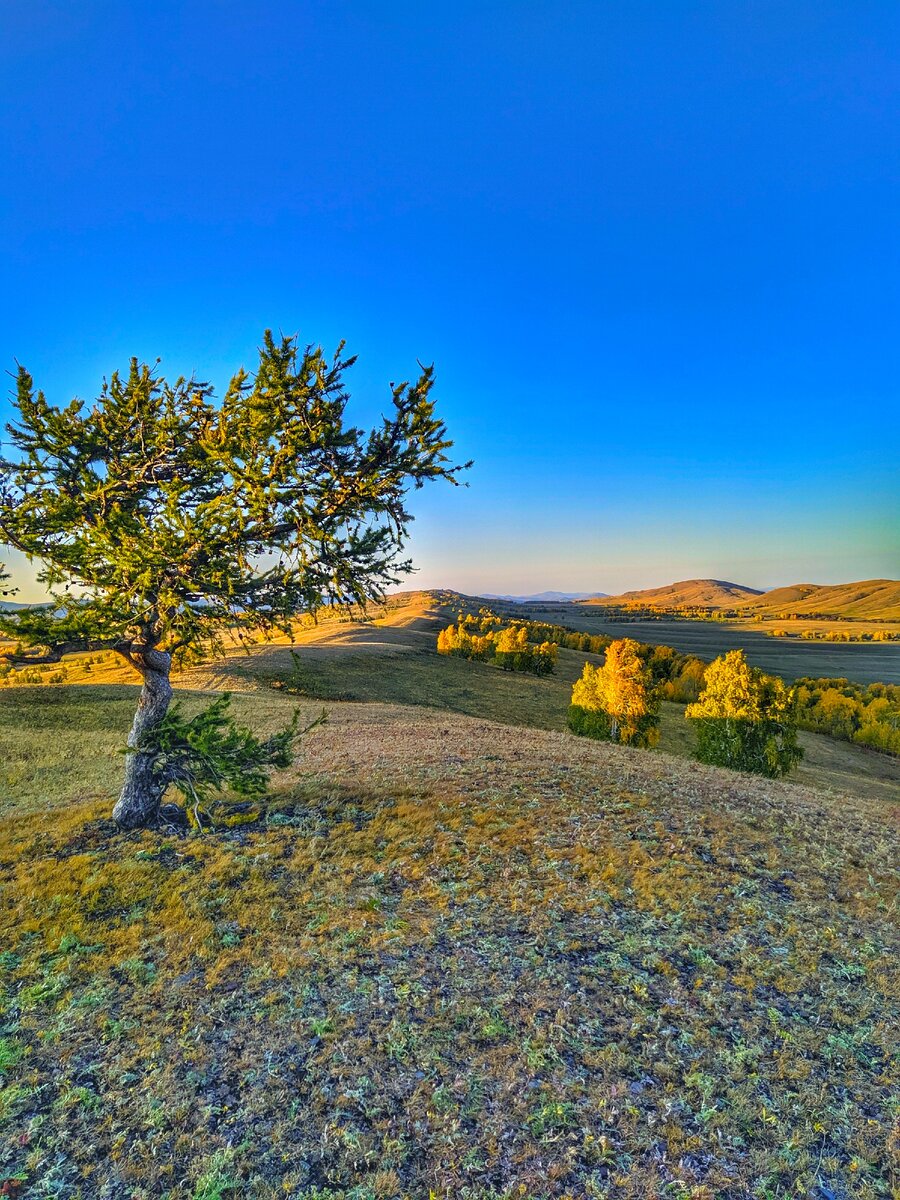 Баланс и гормония