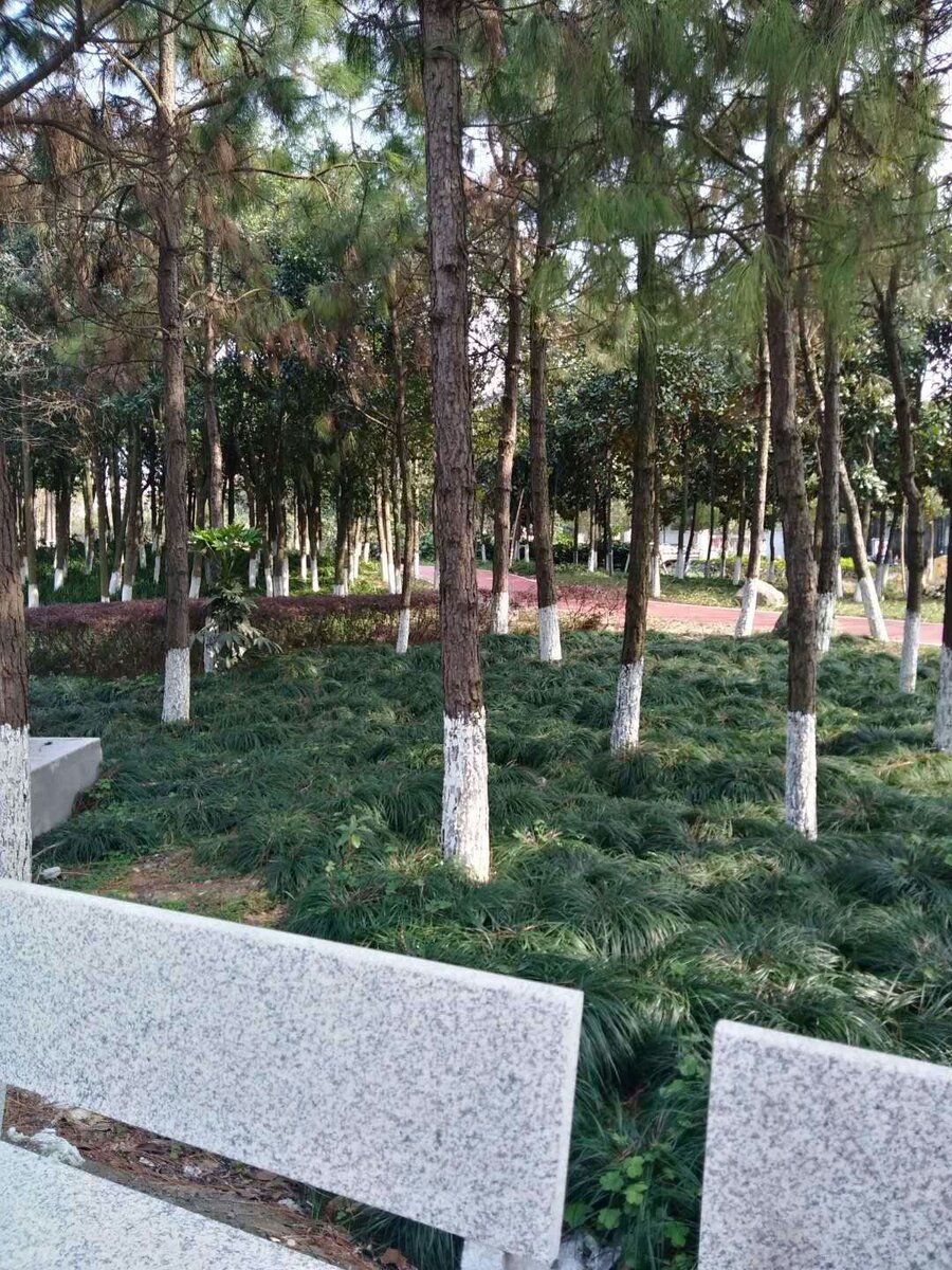 Прекрасные парки с цветами и деревьями в каждом городе.