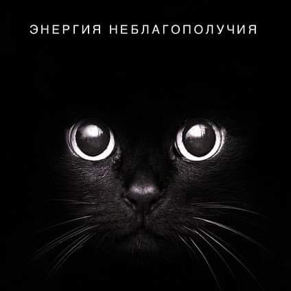 #энергия человека #животные #психология жизни #магия #благополучие 