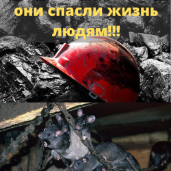 Друзья шахтеров под землей