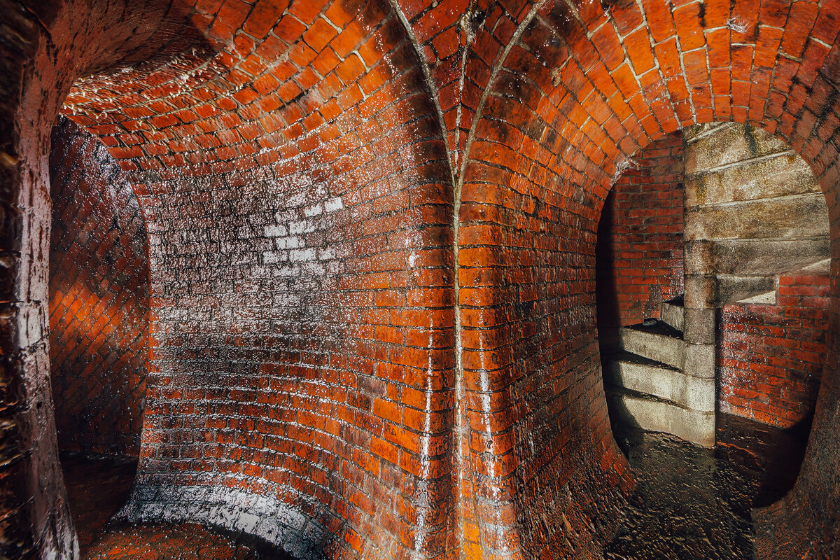 Совершенство линий