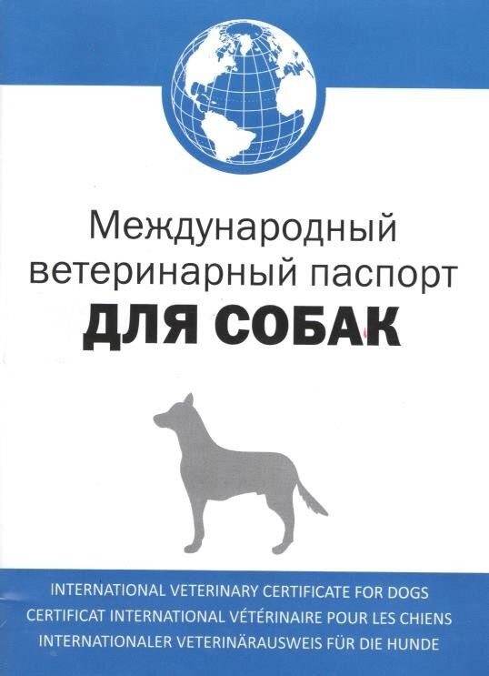 Взято https://msk.zapovednik96.ru/upload/iblock/e03/e039040ae57b47166318100dc50e5bc9.jpeg