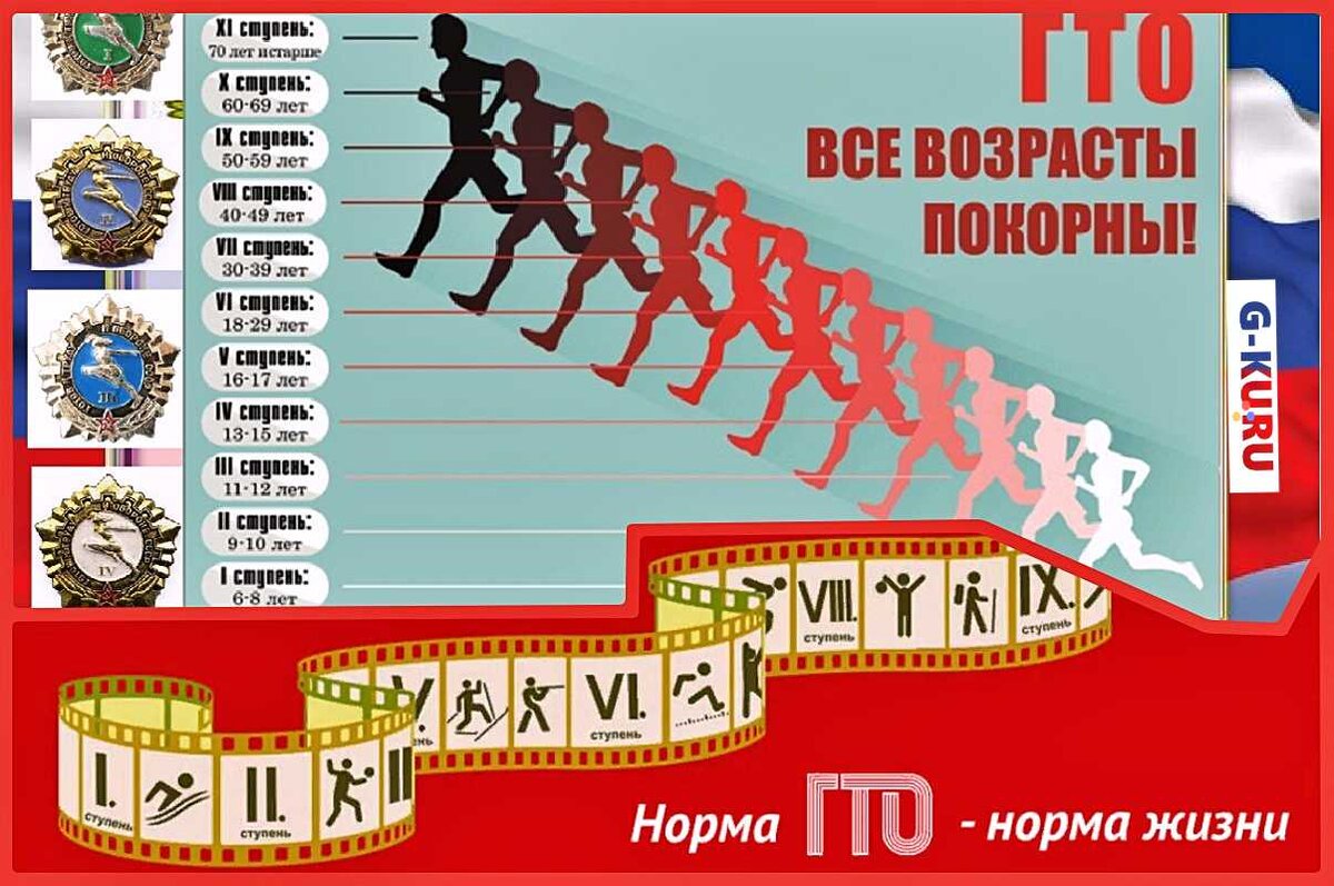 Возрастная ступень комплекса гто. Ступени комплекса ГТО. Комплекс ГТО состоит из 10 ступеней в соответствии с возрастными.