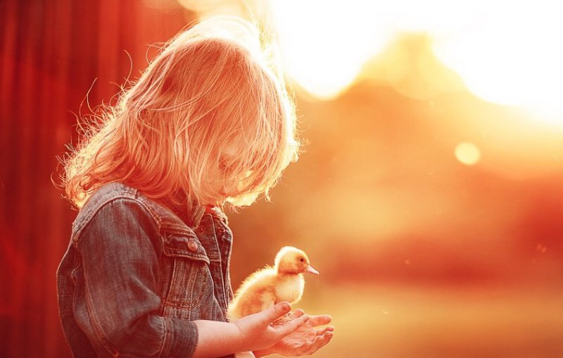 Фотография из открытых источников сети Интернет