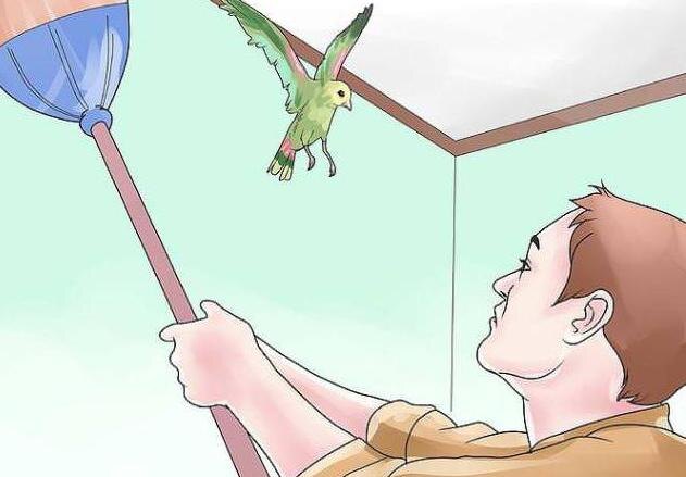 Источник Яндекс.Картинки