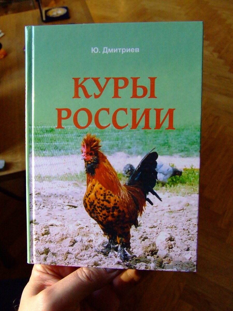 Юрий Дмитриев: специалист по петушкам | Дмитрий Март: мои статьи и видео |  Дзен