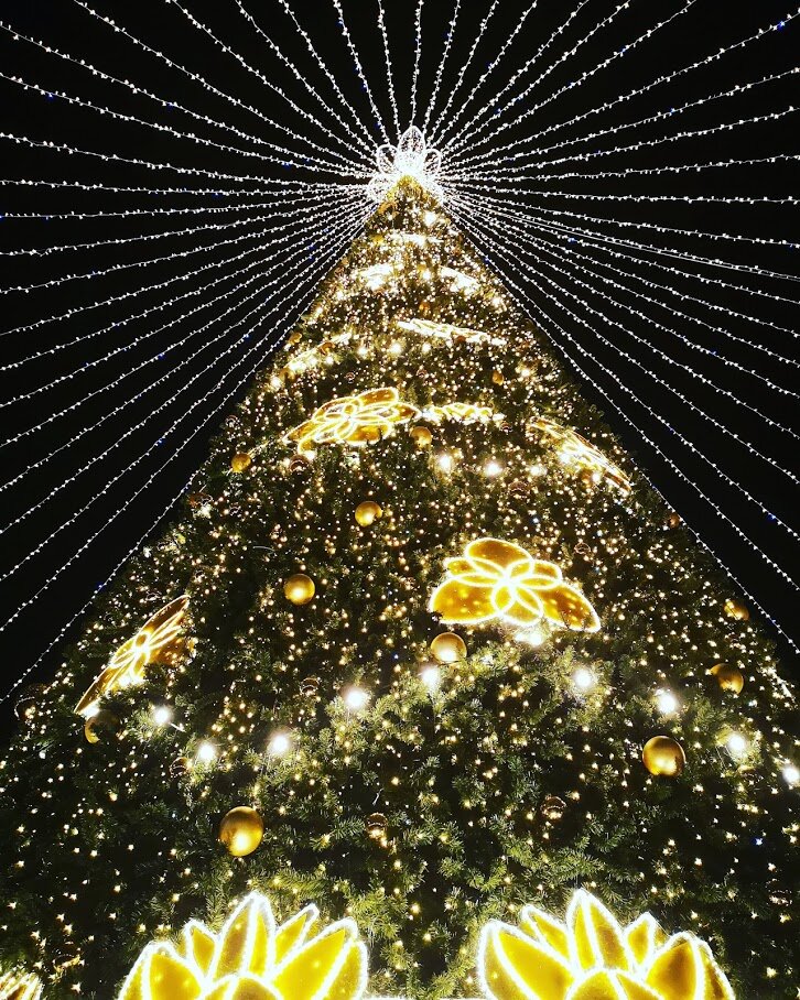 Главная елка Сочи