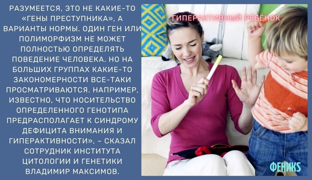 Коллаж Яндекс картинки
