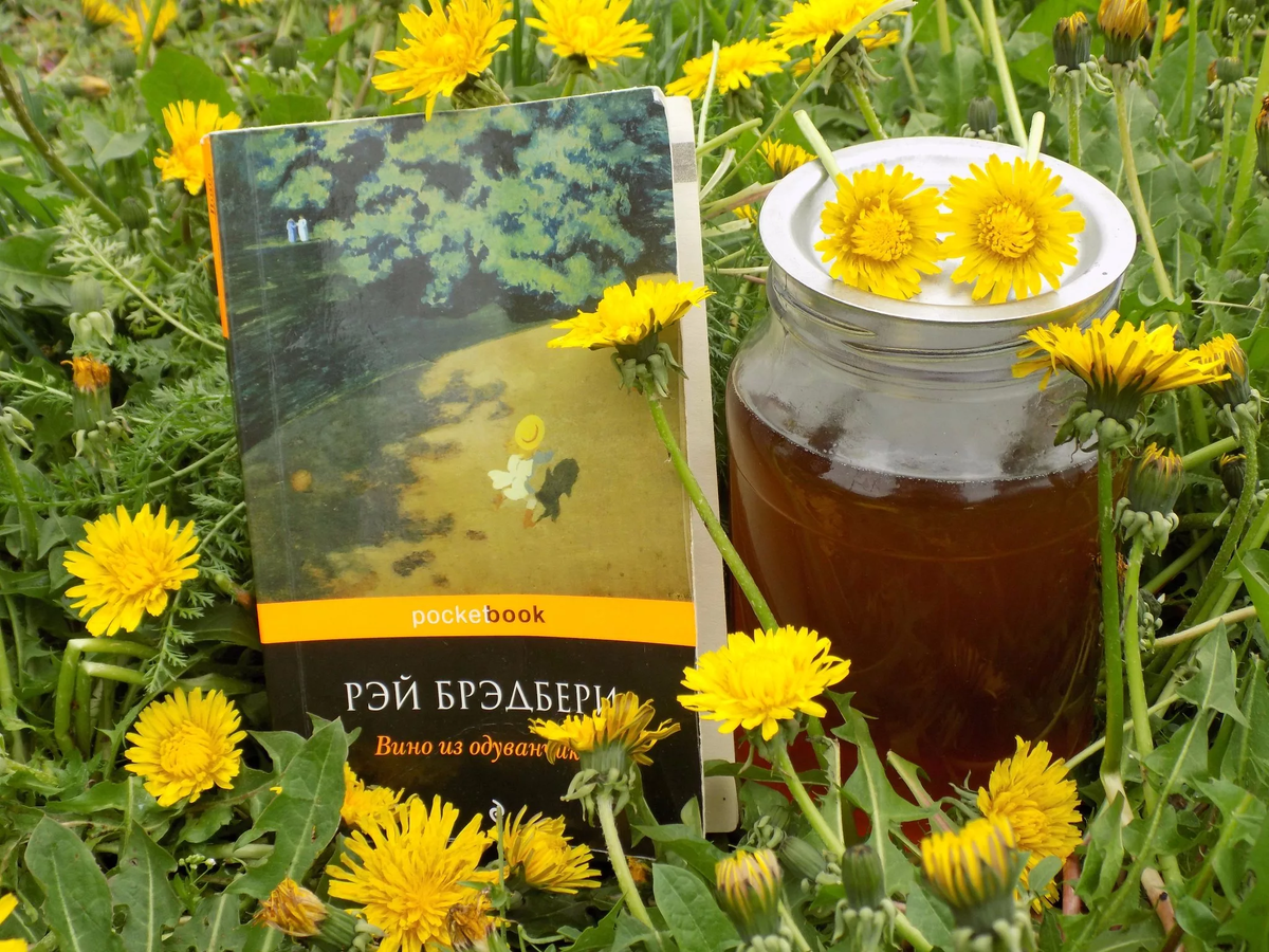 Книга не совсем про одуванчики, но про то, как важно уметь вспоминать и погружаться в свои воспоминания.
