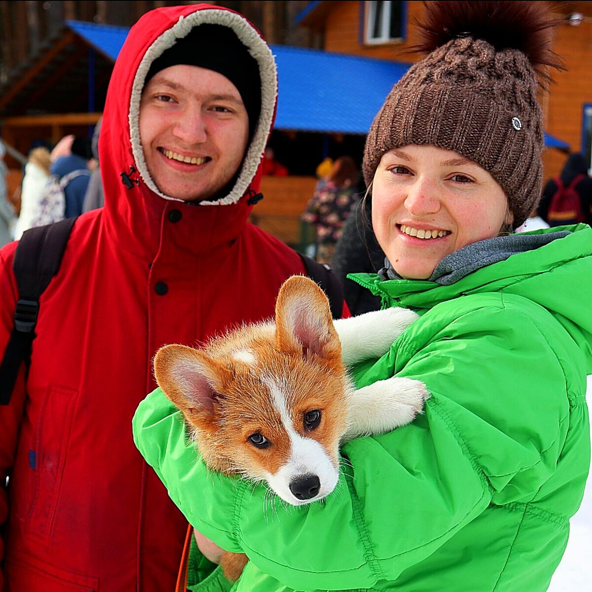 Малыш Мерлин, весь обслюнявленный другими собаками