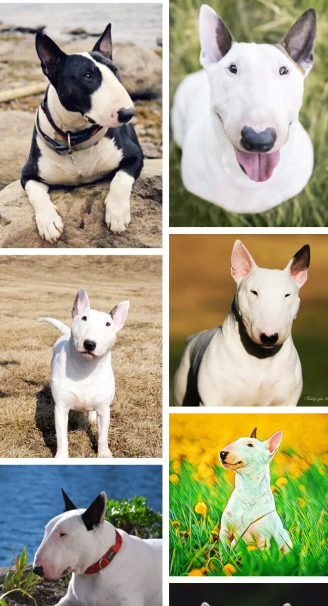 Скриншот автора