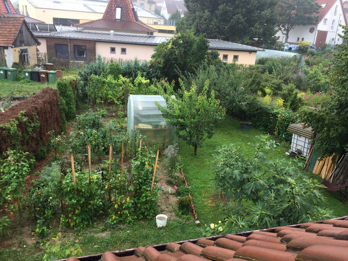 Был газон...было красиво